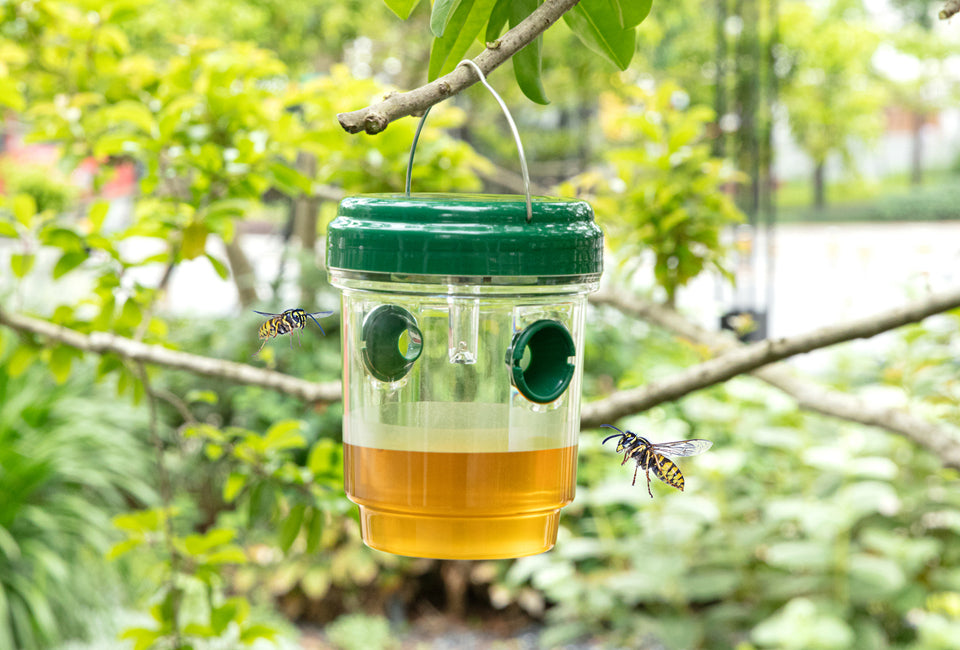 Set of 2 solar powered insect traps
