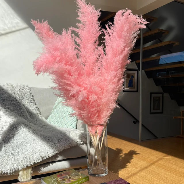Beautiful Dry Pampas Grass for Home Decor