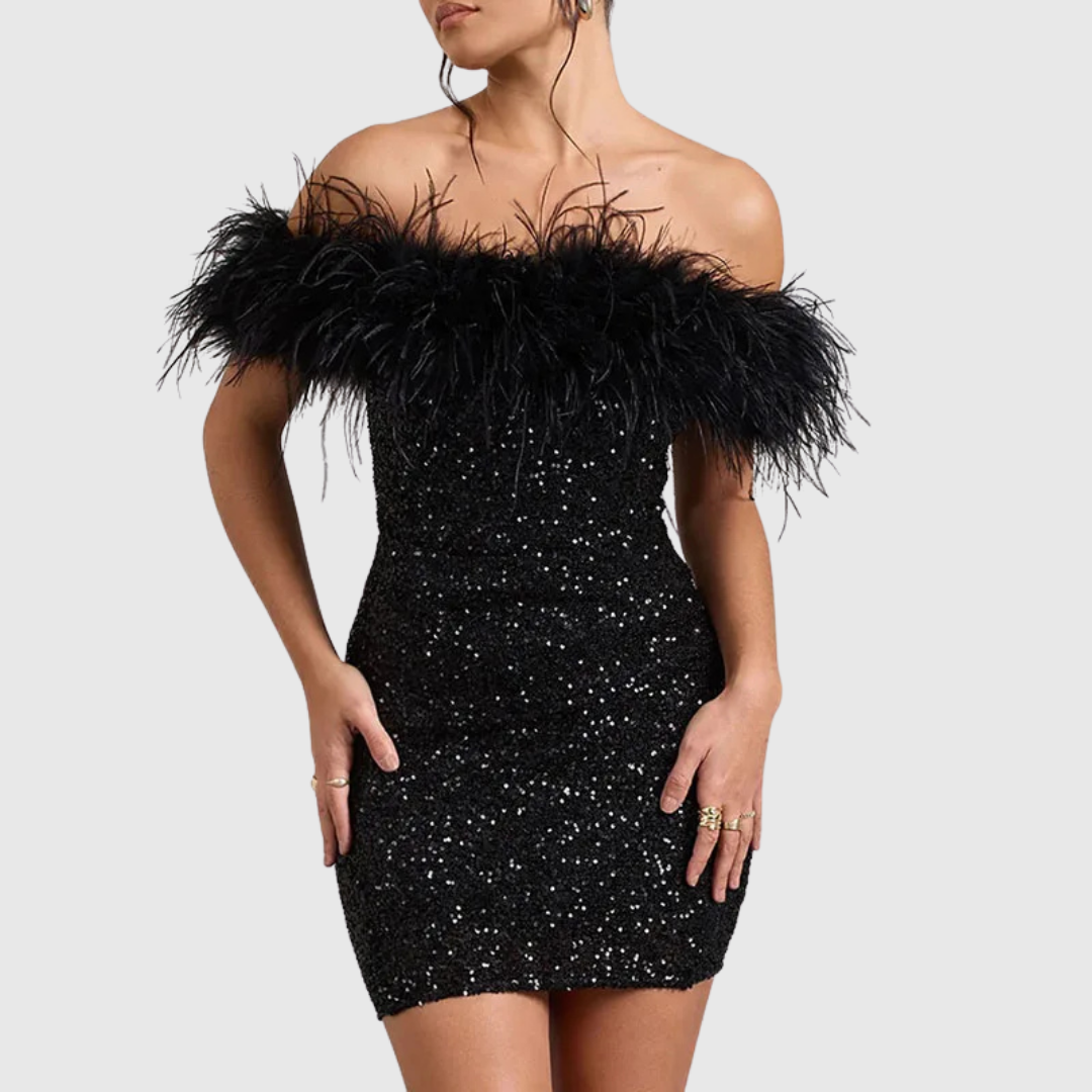 Sparkly Off Shoulder Party Dress