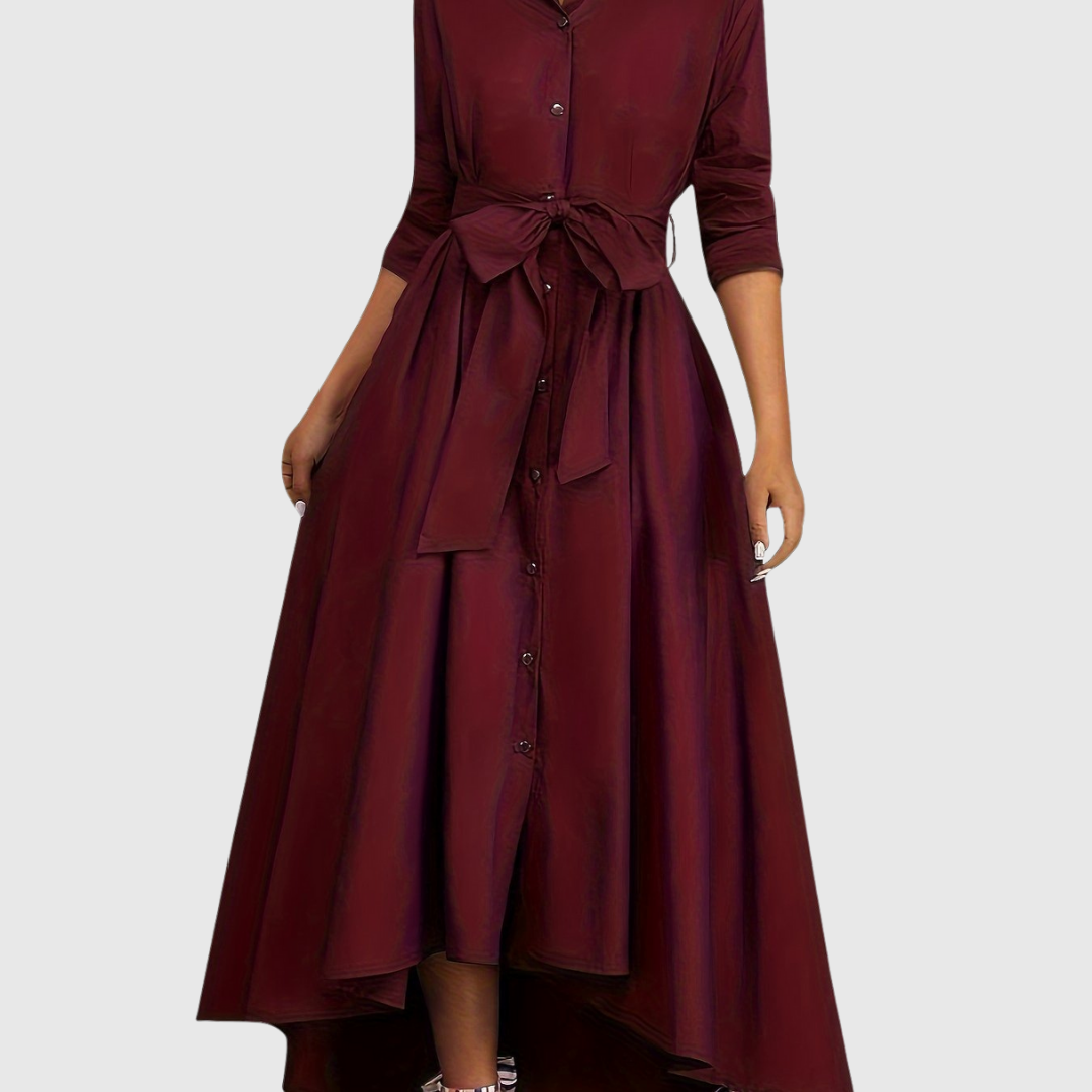 Chic Long Sleeve Maxi Dress