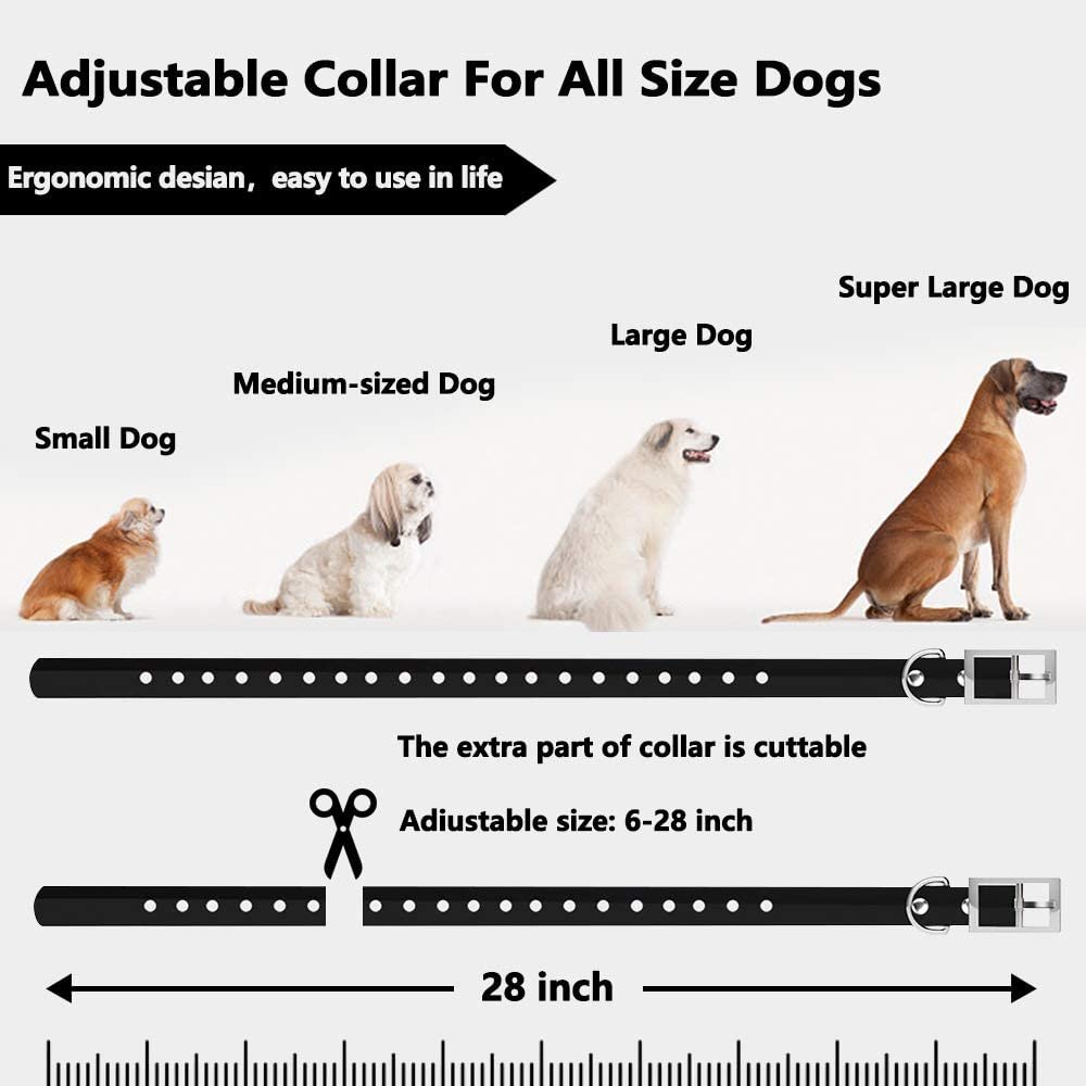 Wireless Dog Fence