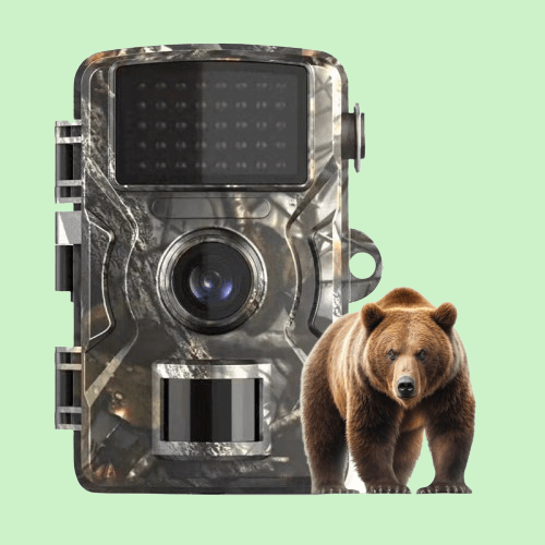 Infrared Night Vision Animal Trail Cam - OutfitLondon