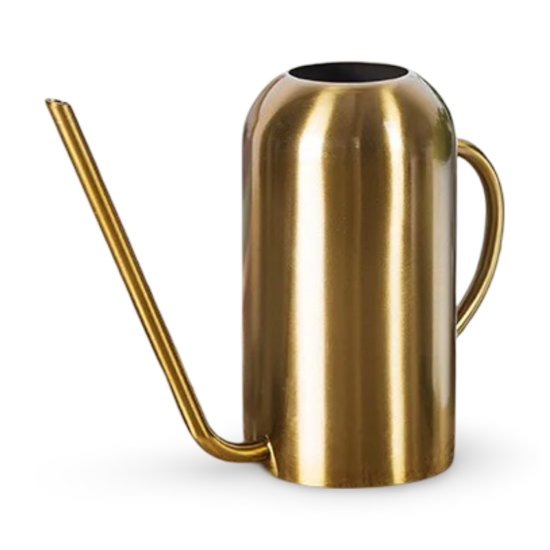 Big Garden Watering Can with Extended Spout