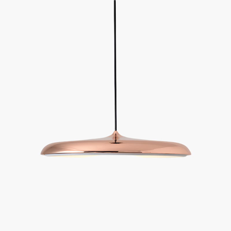 Simple Modern LED Pendant Ceiling Light