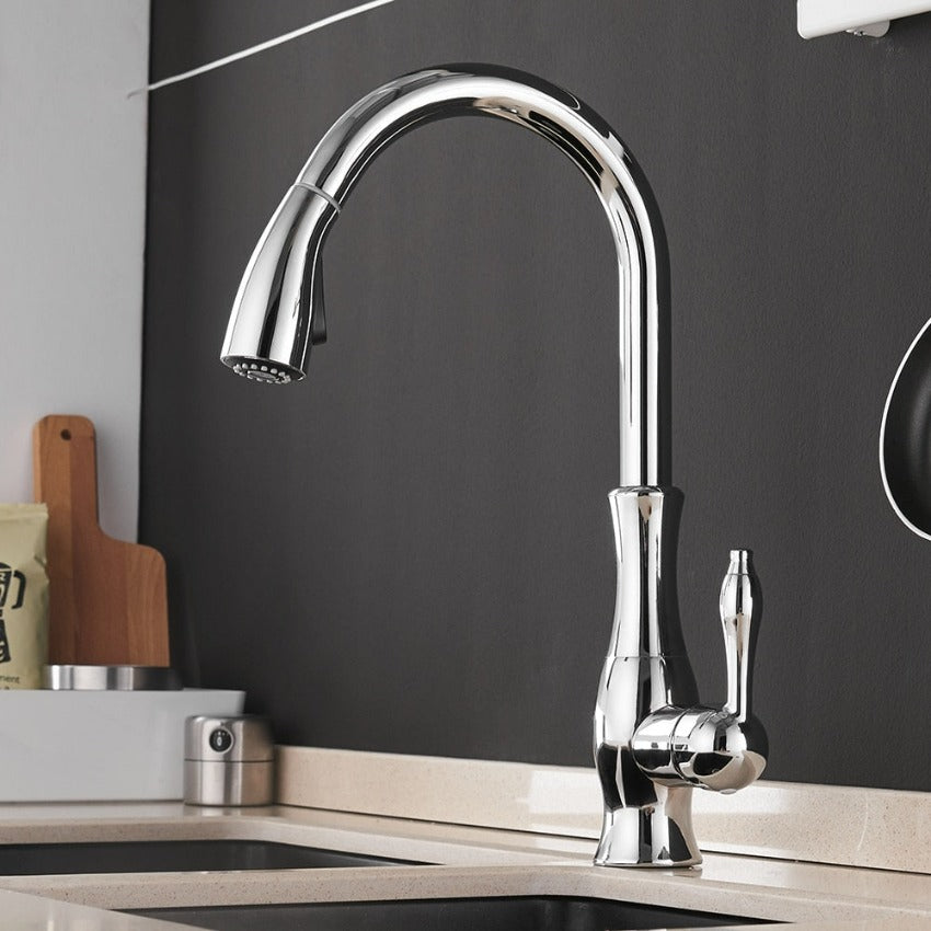 Flexible Kitchen Faucet - Long Reach Spray Head