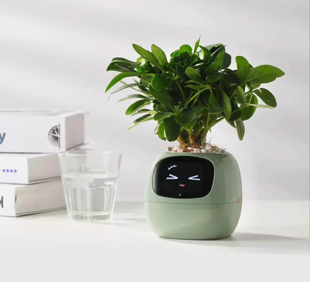 Smart Automatic Watering Pot With Moisture Sensors