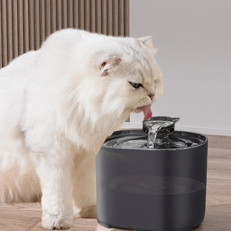 Easy Clean Pet Water Dispenser With Built In Filter - OutfitLondon
