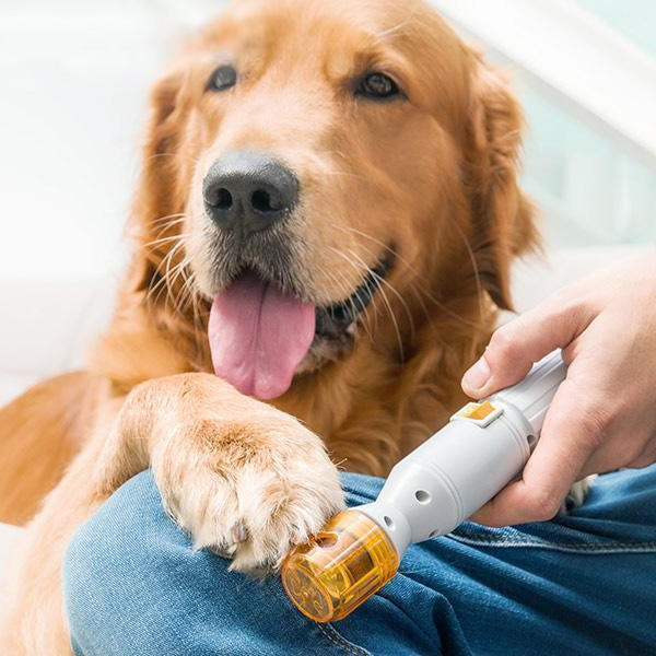 Safe Pet Nail Trimmer For Dogs Cats - OutfitLondon