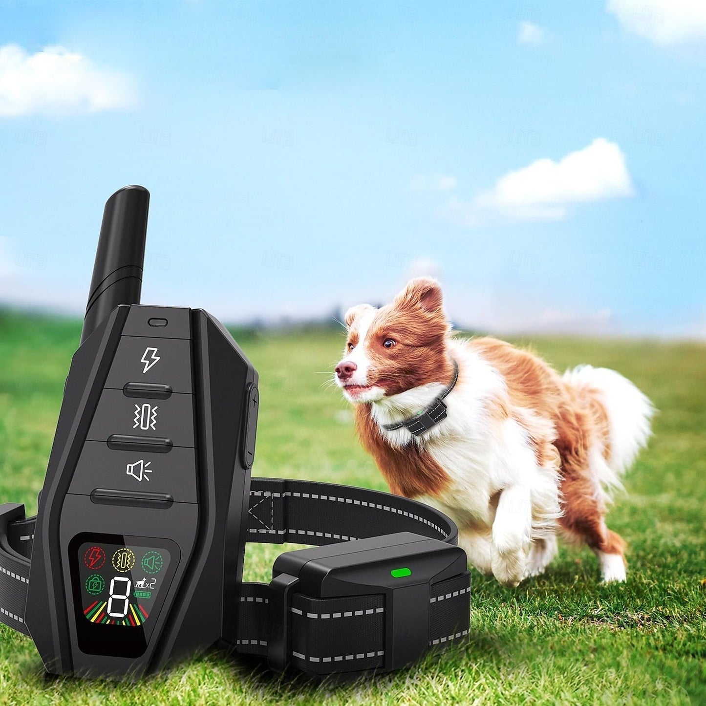 Durable Waterproof Remote Dog Training Collar - OutfitLondon