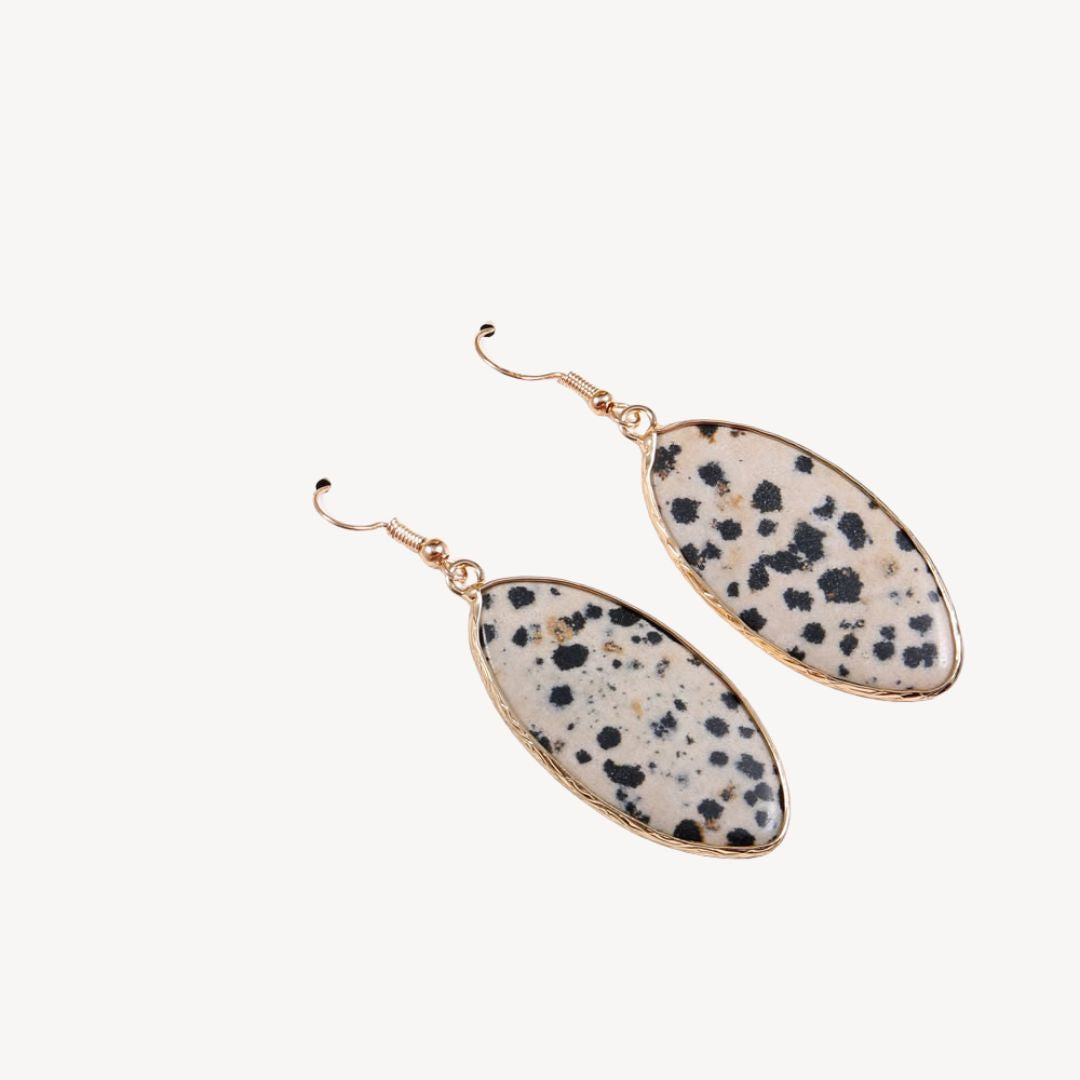 Sparkling Stone Dangle Earrings