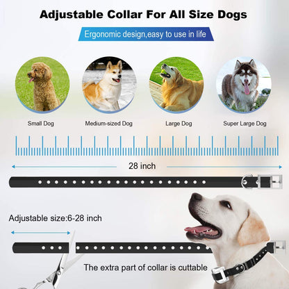 Challenger Wireless Dog Fence