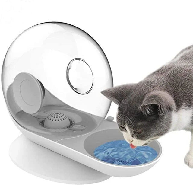 Bubble Cat Water Fountain Filter Automatic Dispenser
