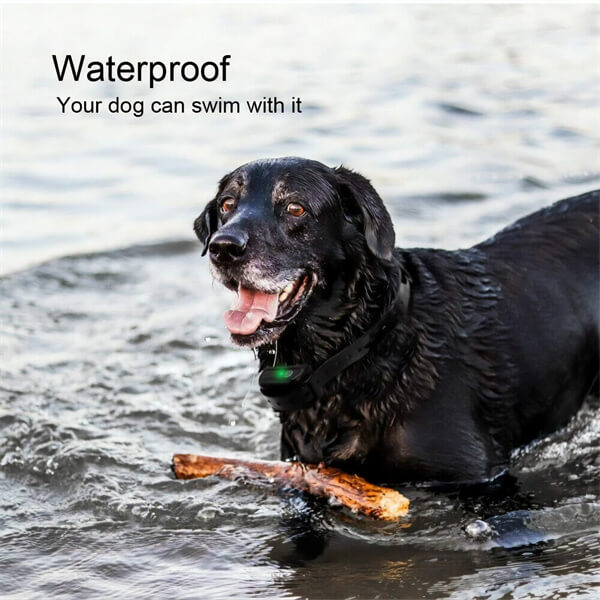 Wireless Dog Fence Electric Waterproof Intelligent Training Collar for 1/2/3 Dogs