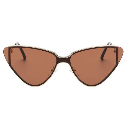 Women's Retro Acetate Cat Eye Sunglasses