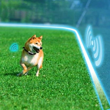 Wireless Dog Fence Receiver Collar
