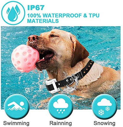 Challenger Wireless Dog Fence