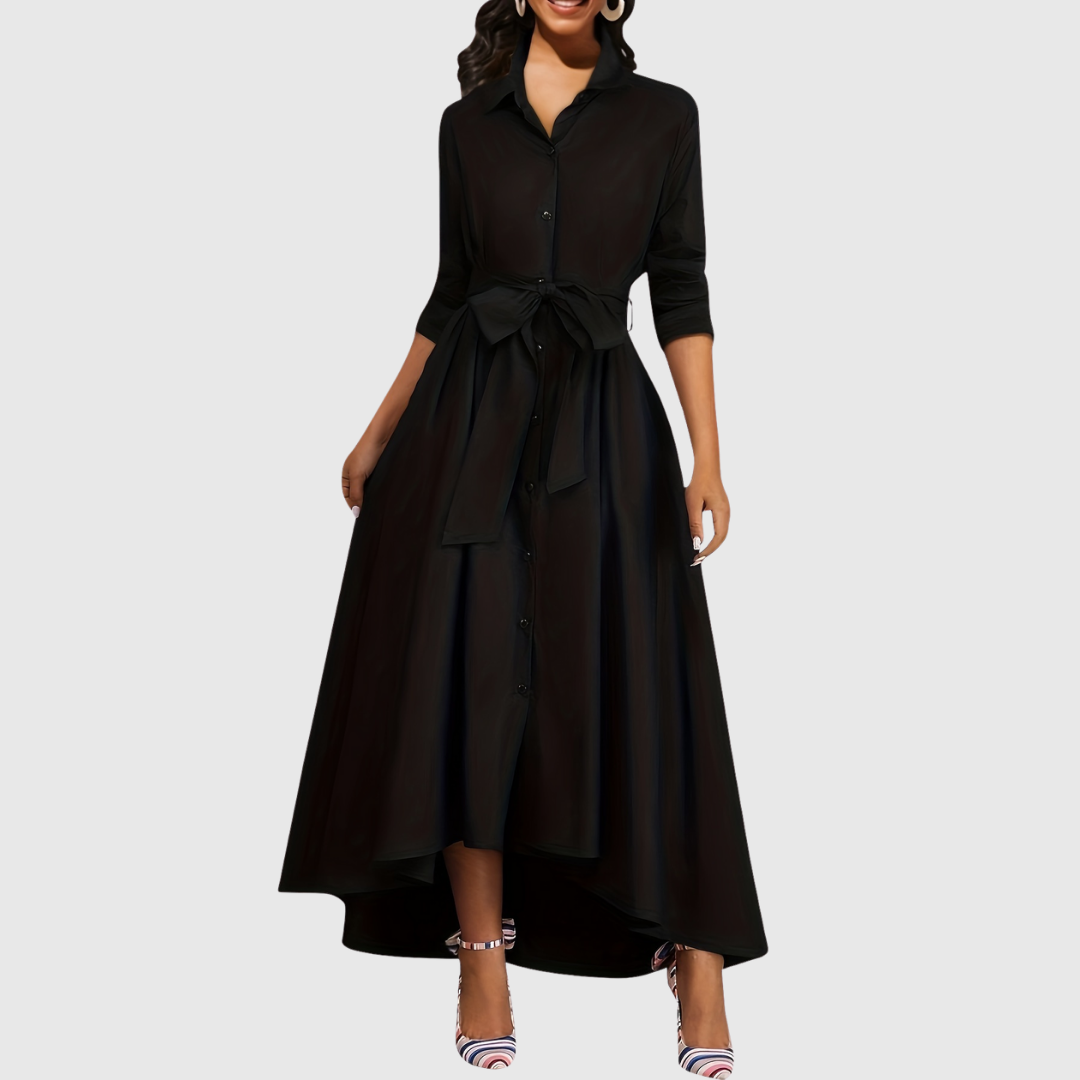 Chic Long Sleeve Maxi Dress
