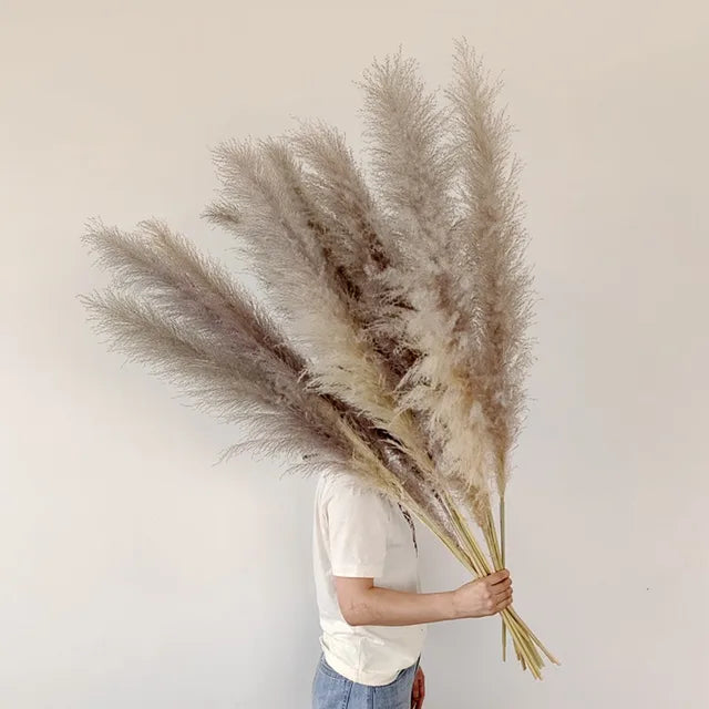 Beautiful Dry Pampas Grass for Home Decor