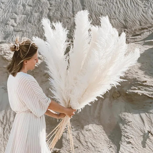 Beautiful Dry Pampas Grass for Home Decor - OutfitLondon