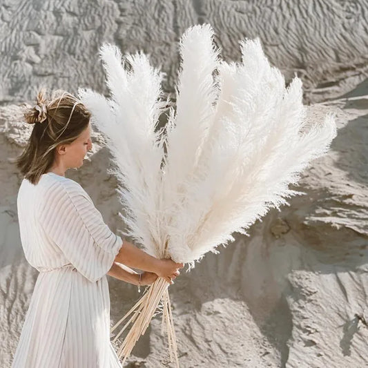 Beautiful Dry Pampas Grass for Home Decor - OutfitLondon