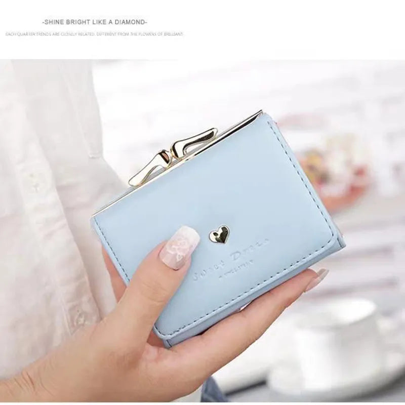Small Colourful Folding Wallet