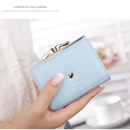 Small Colourful Folding Wallet