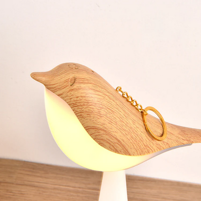 Aromatherapy Magpie Table Lamp - Dimmable Touch Rechargeable RGB Night Light