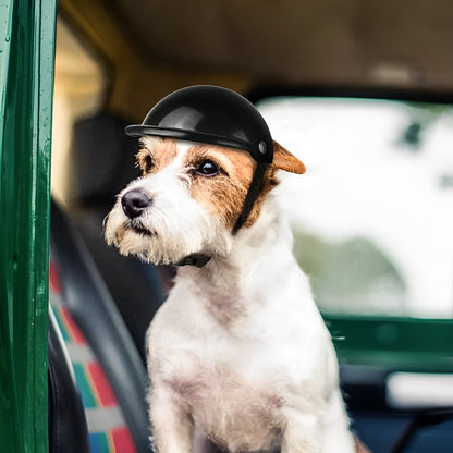 Safe Dog Bike Helmet and Eye Protection Set - OutfitLondon