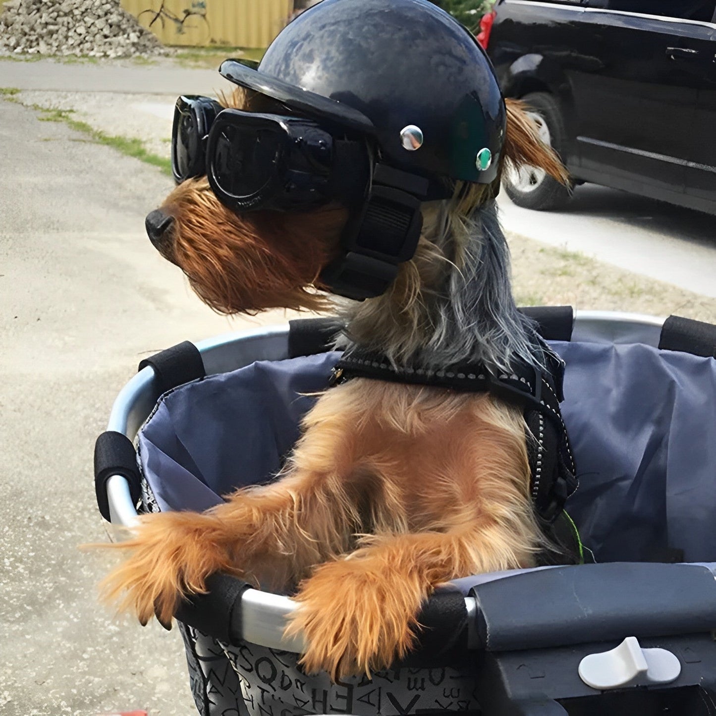 Safe Dog Bike Helmet and Eye Protection Set