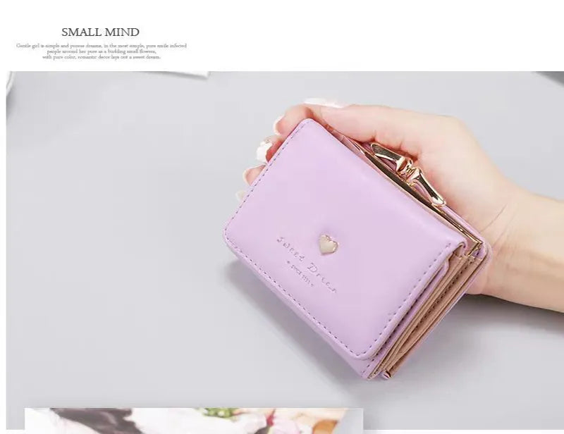 Small Colourful Folding Wallet