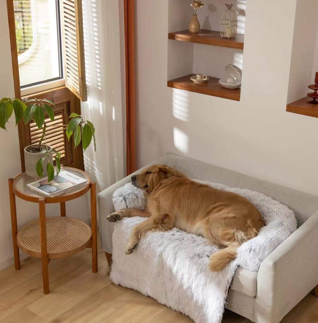 Calming Furniture Protector for Dogs