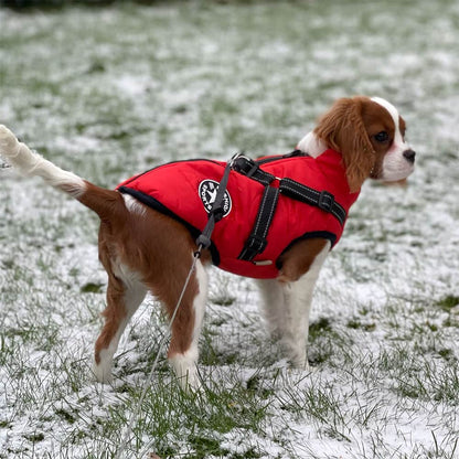 Warm Winter Dog Coat - Waterproof Fleece Dog Coat