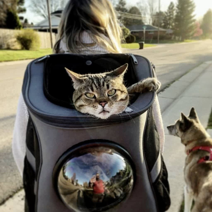 Comfortable Cat Hiking Backpack with Ventilated Window