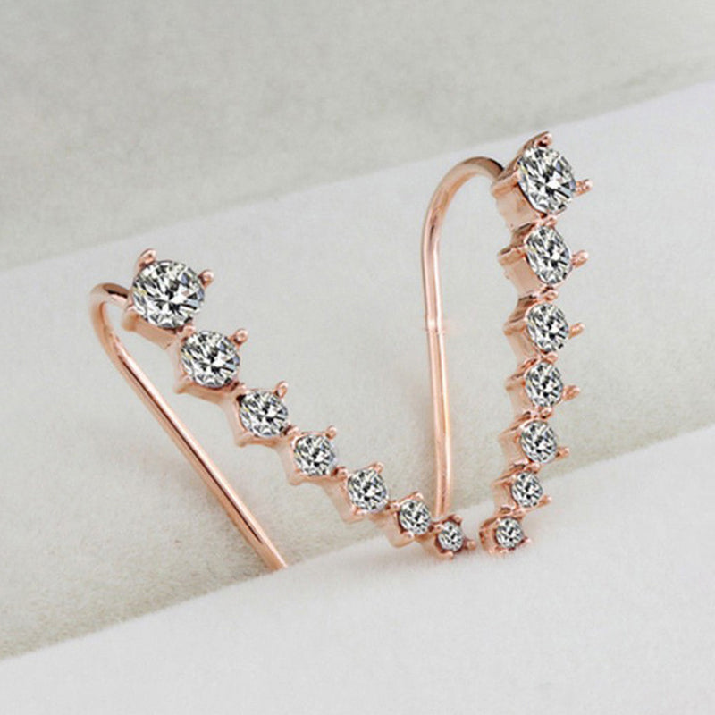 Shining Sterling Silver Earrings - OutfitLondon