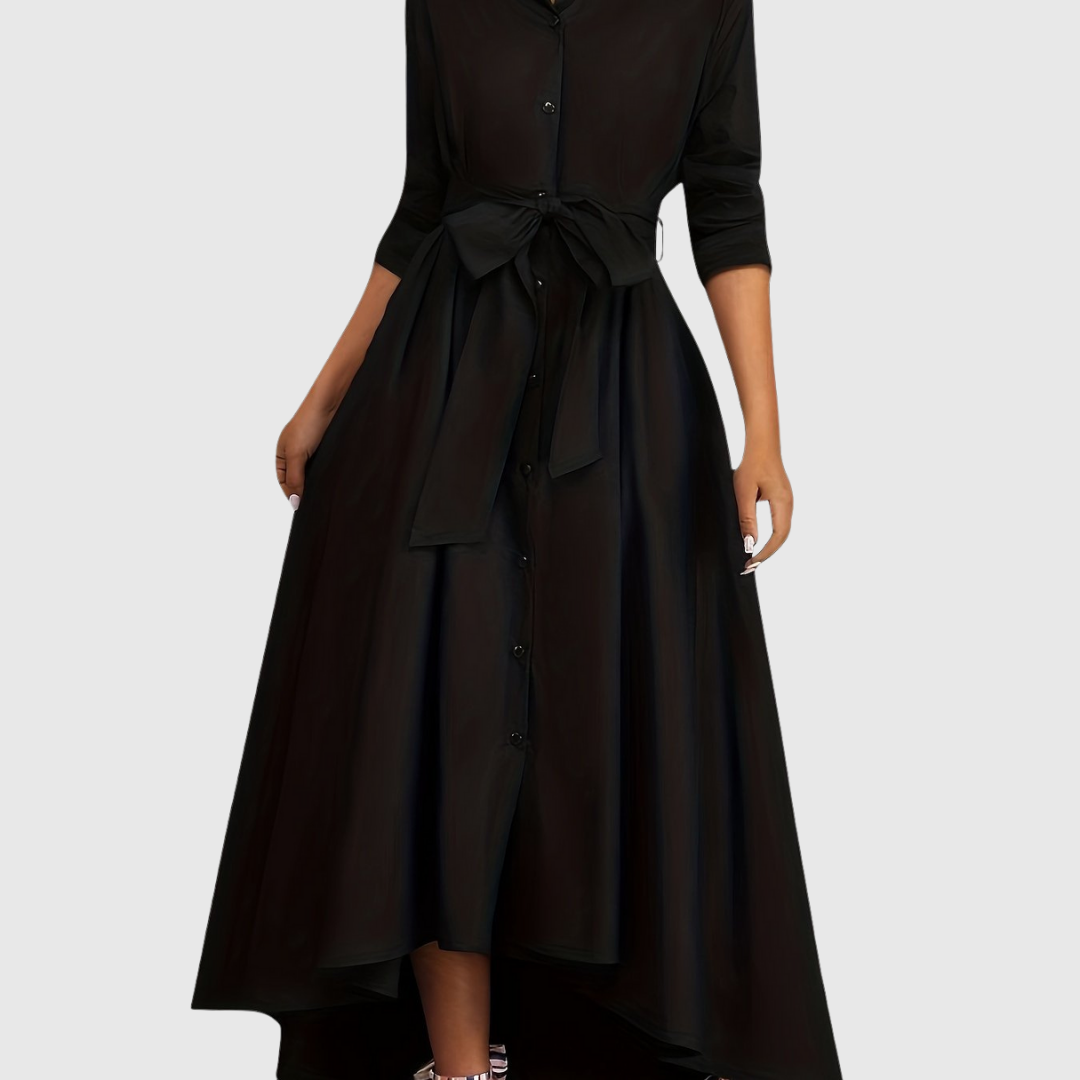 Chic Long Sleeve Maxi Dress