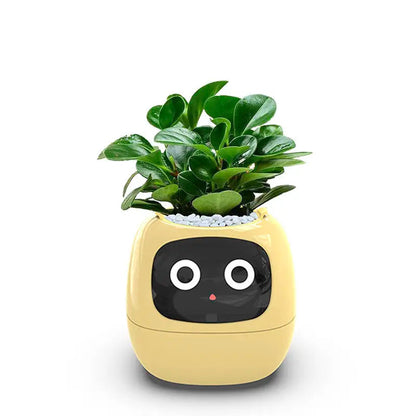 Smart Automatic Indoor Herb Planter With Sensors