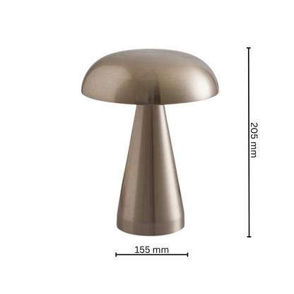 Stylish Indoor Desk Lamp