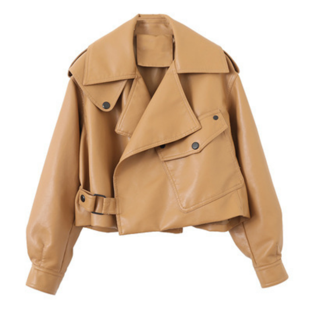Stylish Women's Large Size Winter Coat