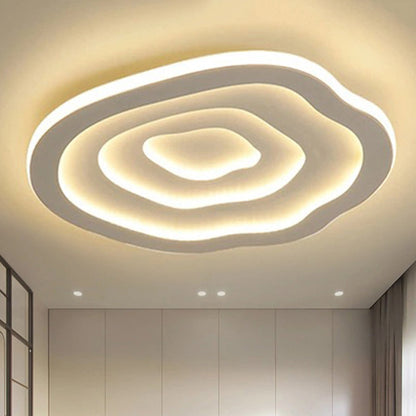 Modern LED Ceiling Light with Warm White Shade