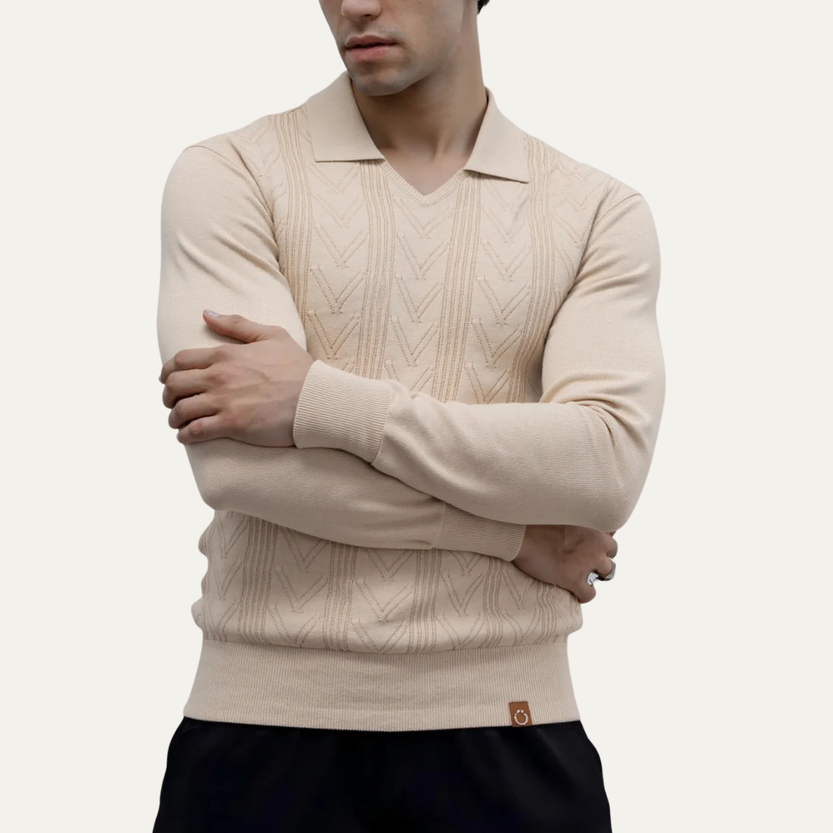Tailored Fit Mens V Neck Knit Polo Sweater