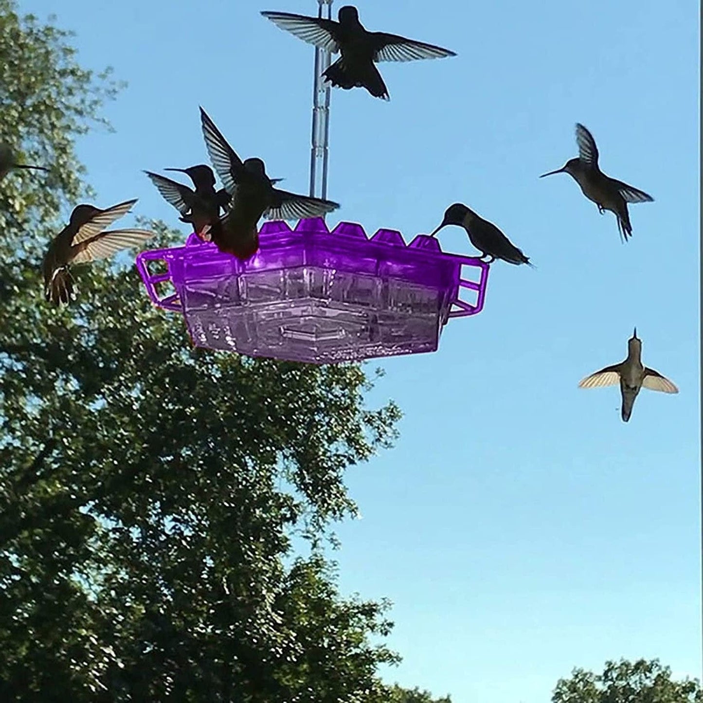 Easy Fill Bird Feeder With Built In Perch - OutfitLondon