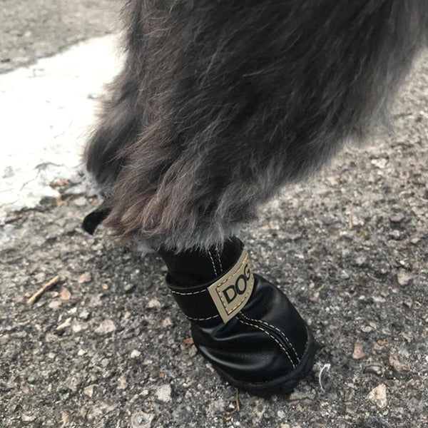 Thick Soft Snow Boots Of Dogs