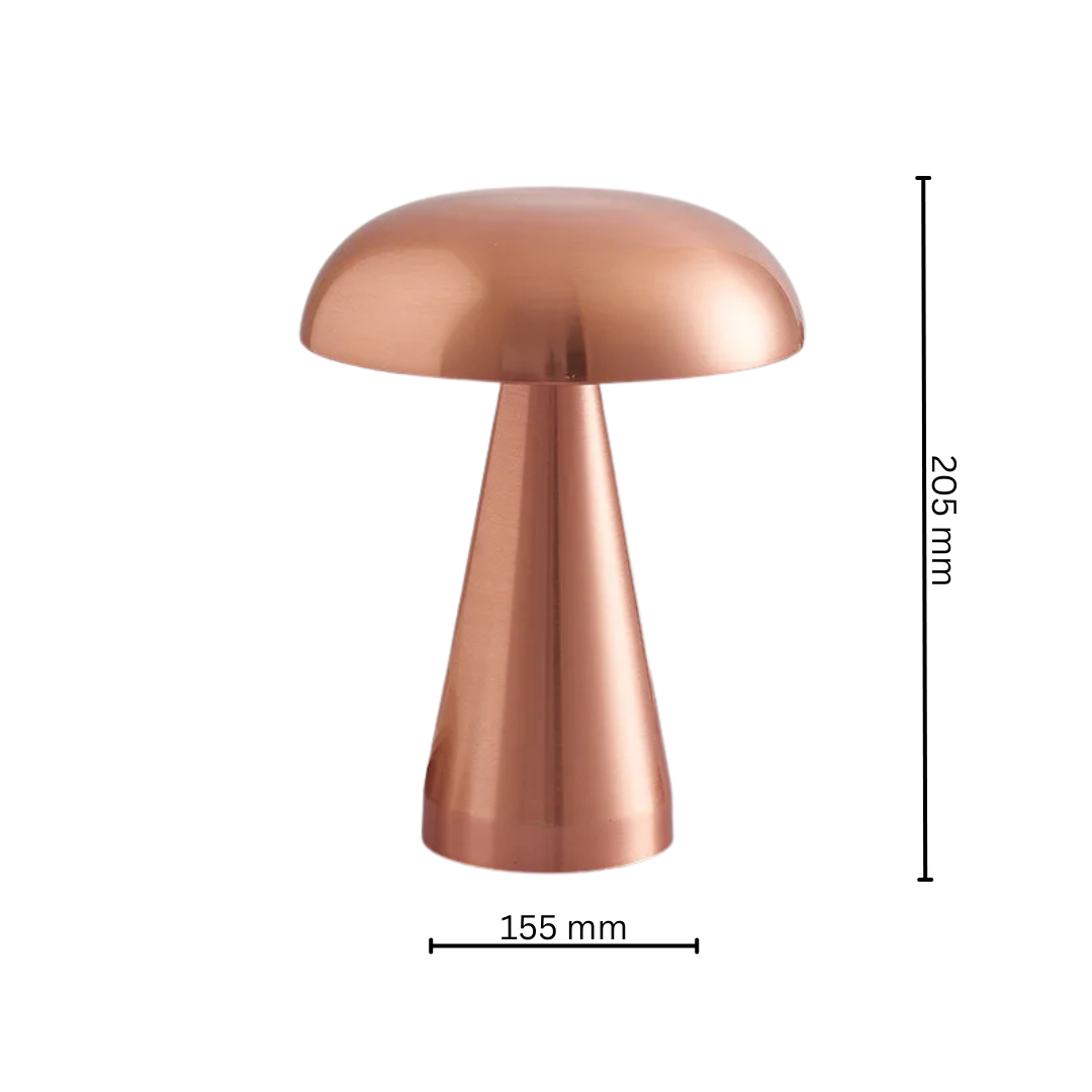 Stylish Indoor Desk Lamp