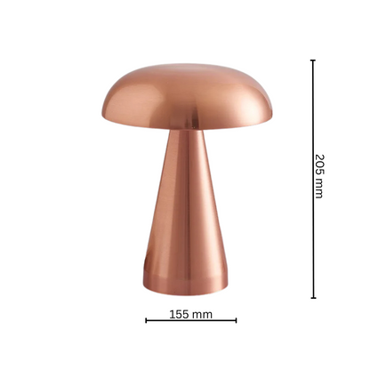 Stylish Indoor Desk Lamp