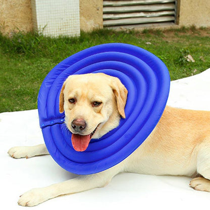 Dog & Cat Elizabethan Surgery Recovery Collar