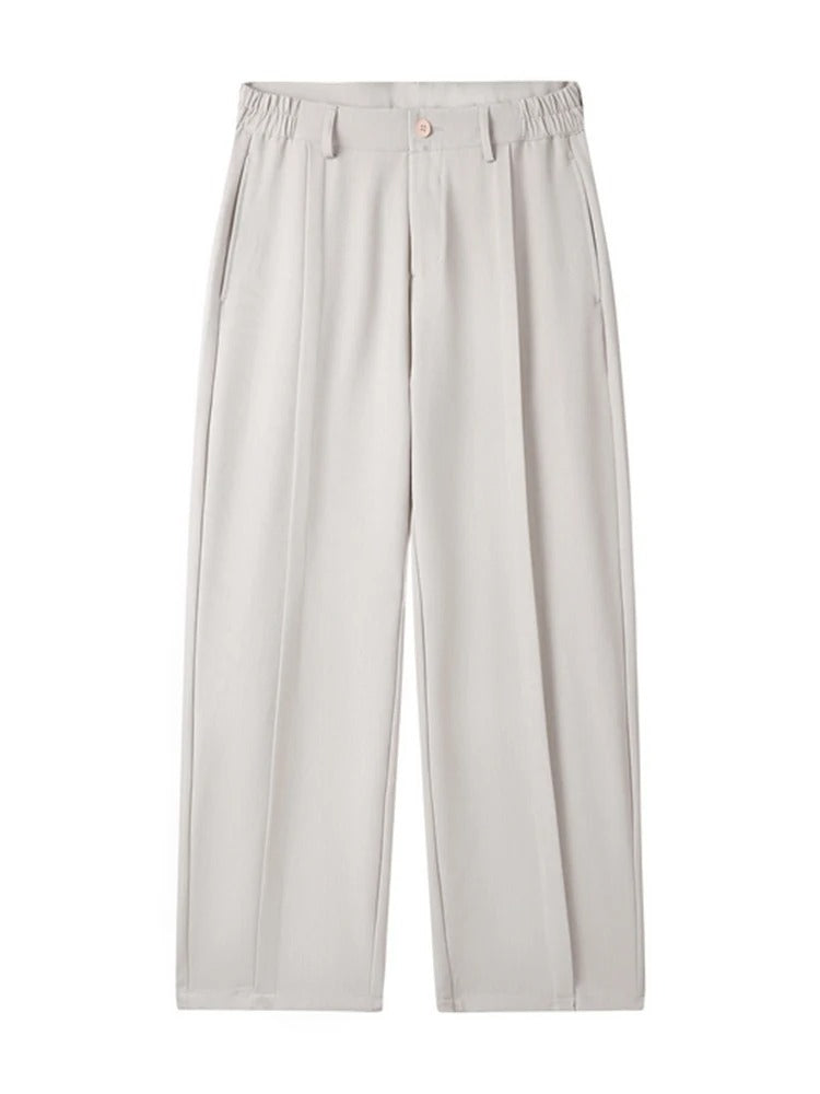 Relaxed Fit Mens Pleated Dress Pants