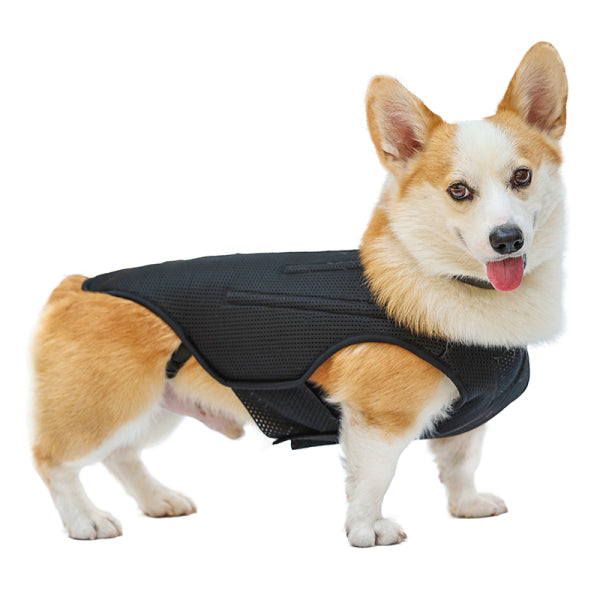 Dog Back Brace Flexible Comfortable Dog Back Protector For Old Dogs Disabled