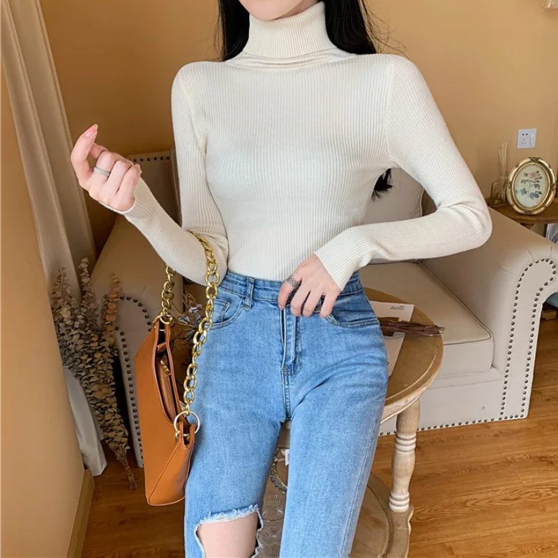 Soft Warm Women's Crew Neck Winter Sweater