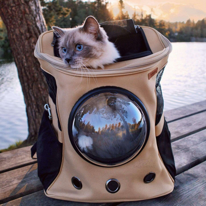 Comfortable Cat Hiking Backpack with Ventilated Window - OutfitLondon