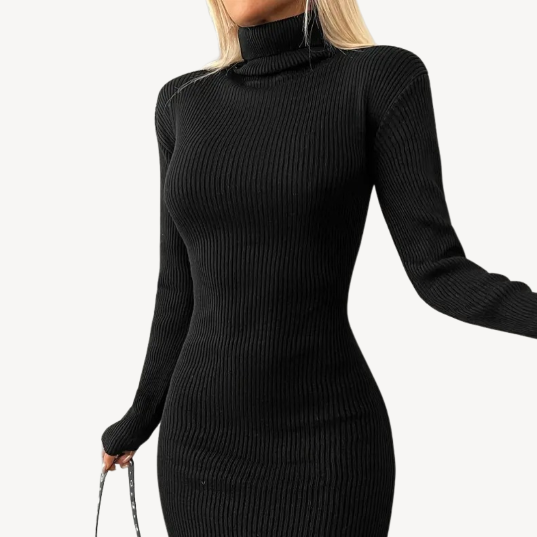 Women's Dark Textured Crew Neck Knit Dress